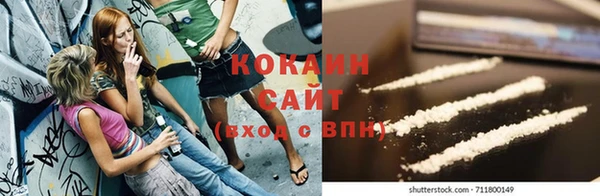 прущие грибы Няндома