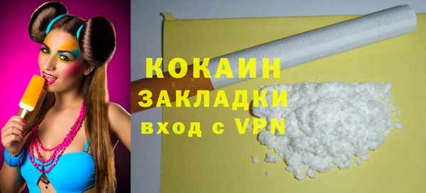 прущие грибы Няндома