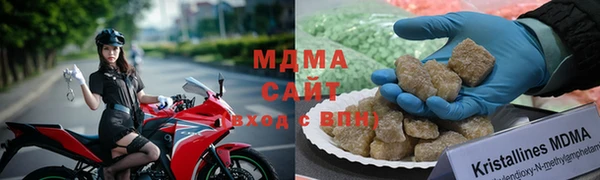 прущие грибы Няндома
