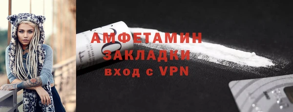 прущие грибы Няндома