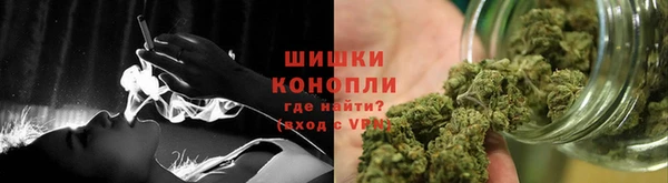 СК Болотное