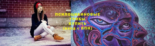 соль ск Новодвинск