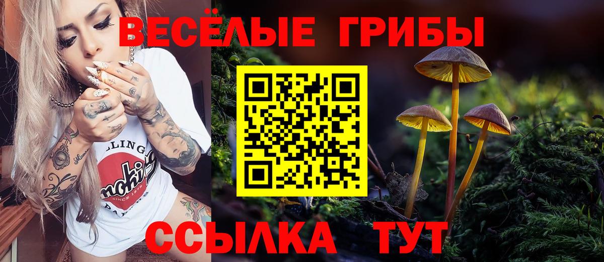 Псилоцибиновые грибы Magic Shrooms  Псилоцибиновые грибы Cubensis  Тюмень  Вход с VPN 